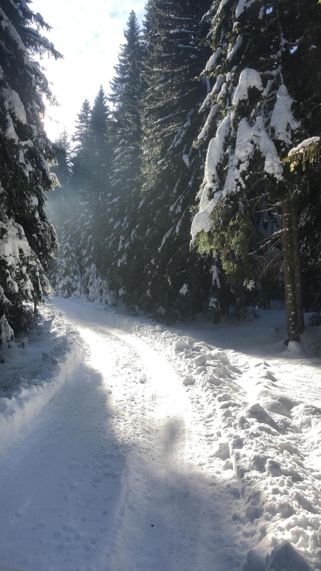 Chalet Kovacevic Žabljak エクステリア 写真