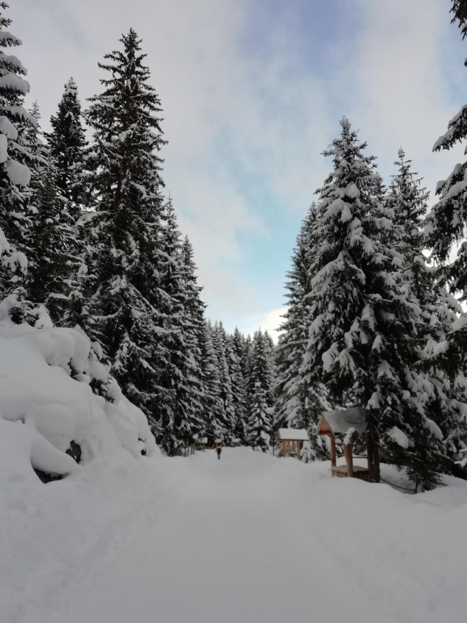 Chalet Kovacevic Žabljak エクステリア 写真